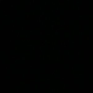 Meet your Posher, Cassandra